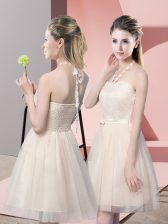 High Class Halter Top Sleeveless Tulle Evening Dress Lace Side Zipper