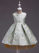 Flare Sleeveless Mini Length Embroidery Toddler Flower Girl Dress