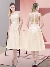 Flirting Champagne Sleeveless Zipper for Prom and Party