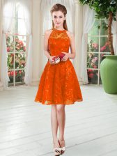 Most Popular Sleeveless Zipper Knee Length Lace Prom Party Dress