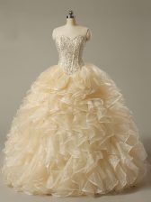 Hot Sale Floor Length Ball Gowns Sleeveless Champagne Sweet 16 Dress Lace Up
