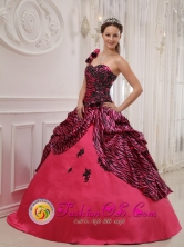 2013 One Shoulder Hand Zebra Made Flowers Sweet 16 Dress Coral Red For  Quinceanera In Nueva Alborada Paraguay Style QDZY384FOR   