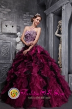 Leopord and Deaded Decorate Bodice Ruffles Wild Fushsia Quinceanera Dress Custom Made for Quinceanera In Sapucai Paraguay Style ZYLJ01FOR 