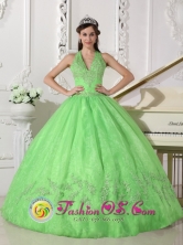 Sprong Customize Exquisite Beaded Orange Appliques 2013 Quinceanera Dress WithTaffeta and Organza Ball Gown IN  San Nicolas Nicaragua  Style QDZY620FOR