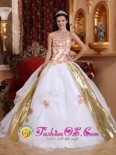 Strapless White and Pink Beading and Appliques Quinceanera Organza Gowns With Hand Made Flowers  IN  Cabril Nicaragua  Style QDZY427FOR