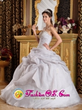2013 Mixco Guatemala Customize Beading Inexpensive Style Quinceanera Dress For 2013 Grey  Organza  Sweetheart Ball Gown Style  QDZY221FOR