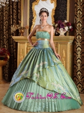 Pitrufquen Chile Appliques Discount Olive Green 2013 Quinceanera Dress Strapless Taffeta and Organza Ball Gown For 2013 Quinceanera Style QDZY280FOR