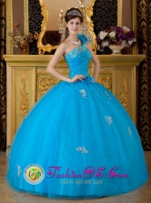 Requinoa Chile Floral One Shoulder Quinceanera Dress Teal Tulle Appliques Ball Gown For Winter Style QDZY166FOR