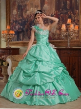 2013 San Alberto Colombia Apple Green One Shoulder Pick-ups Elegant Spring Quinceanera Dress With Hand Flowers Taffeta Style QDZY473FOR