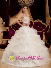 Champagne Sweetheart 2013 Guadalupe Colombia Wholesale Quinceanera Dresses With Pick-ups Appliques Decorate Bodice Style QDZY162FOR