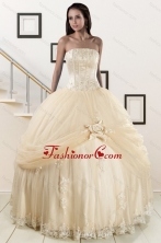 Custom Made Appliques and Hand Made Flower Champagne Quince Dresses XFNAO121FOR