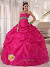 Los Algarrobos Panama Sweetheart Hot Pink Quinceanera Dress With Organza Appliques hand flower decorate Pick-ups for 2013 Graduation Style PDZY666FOR 