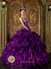 Appliques and Ruffles Decorate Bodice Pretty Eggplant Purple Wholesale Quinceanera Dress Strapless Organza For 2013 Quinceanera IN Cerrillos Uruguay Style QDZY244FOR