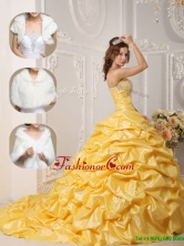 Recommended Court Train Quinceanera Gowns with Pick Ups and Appliques for 2016 QDZY008DFOR