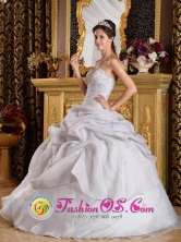 Customize Beading Inexpensive Style Quinceanera Dress For 2013 Quebradillas Puerto Rico Grey  Organza  Sweetheart Ball Gown Wholesale Style QDZY221FOR