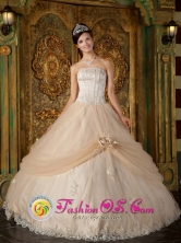 2013 Wholesale Hand Made Flower and Appliques Decorate Strapless Bodice Champagne Ball Gown Quinceanera Dress In Barinas Venezuela Style QDZY121FOR