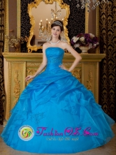 Simple Sky Blue Strapless Appliques Organza Ball Gown for 2013 Mariquita Colombia Wholesale Quinceanera  Style QDZY072FOR