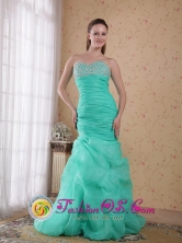 Apple Green  Organza Beading and Ruch Column Sweetheart Brush Train For Prom INWarnes Bolivia Wholesale Style PDHXQ044FOR