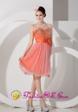 Sicuani Peru Knee length Organza Red A line Sweetheart Ruch and Beading Cocktail Dress Style JSY080809FOR 