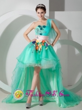 Unique Apple Green Princess One Shoulder High-low Organza Beading and Appliques Prom Dress for Celebrity in Viacha Bolivia Style MLXN080802FOR 