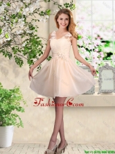 Suitable V Neck Appliques Dama Dresses in Champagne BMT044DFOR