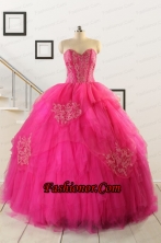 2015 Pretty Appliques Dresses For 15 in Hot Pink  FNAO818_1FOR