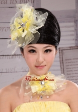 Rhinestones Lovely Tulle Hairpins Birdcage Veils XTH099FOR
