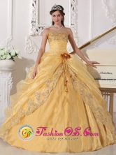 Pradera Colombia Hand Made Flower Embroidery Beading Decorate Organza Gold Sweetheart Quinceanera Dress  Style  QDZY688FOR