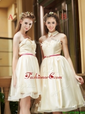 2016 Best Selling Champagne Organza Prom Dress with Appliques and Sashes BMT0109FOR